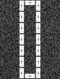 Kit Senda Peatonal Franja Premium - R200